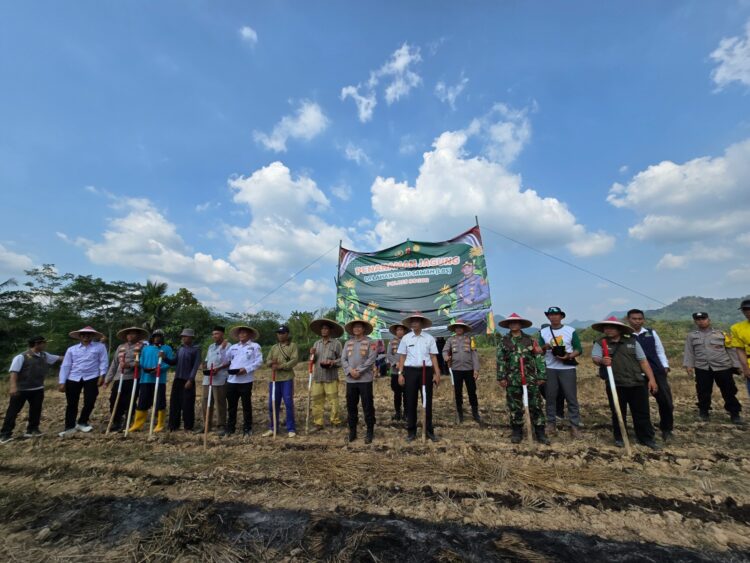 Dukung Ketahanan Pangan Nasional, Polres Bogor Tanam Jagung ke-3 di Lahan Baku Sawah Desa Sirnasari