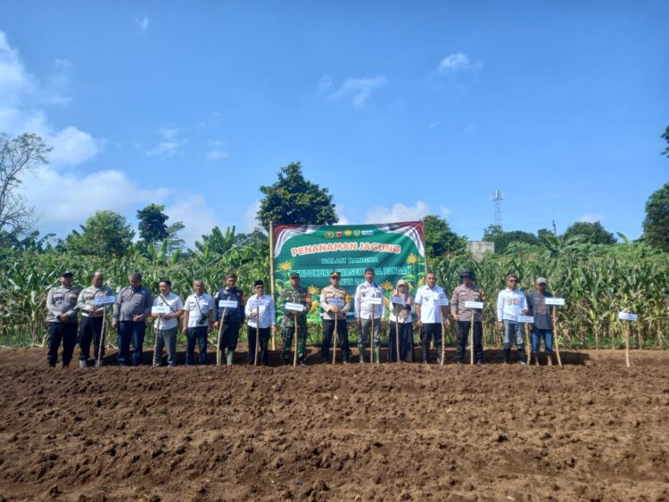 Polsek Caringin Polres Bogor Gelar Penanaman Jagung pipih Dukung Program Swasembada Pangan