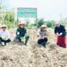Dukung Program Asta Cita Presiden Prabowo, Polres Mesuji Laksanakan Penanaman Jagung Serentak di Lahan Pondok Pesantren Al- Ghazali