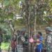 Satgas Pamtas Yonif 763/SBA Pos JOSHIRO Gelar Kegiatan Pembagian sembako kepada masyarakat kampung