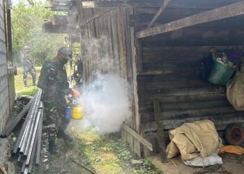 Cegah Malaria dan DBD, Satgas Yonif 131 Fogging Rumah Warga Pyiawi Perbatasan Papua