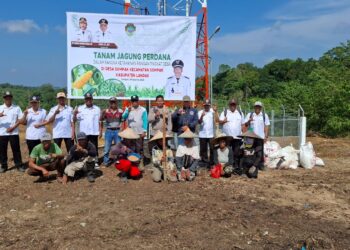 Dukung ketahanan pangan , Kasubsektor Sompak menghadiri kegiatan Penanaman jagung. 