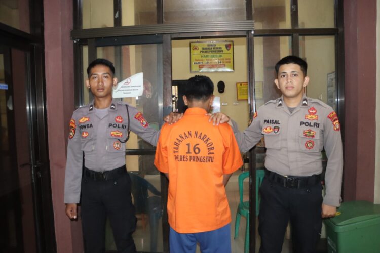 “Tiga Bulan Jadi Pengedar, Pemuda Pringsewu Akhirnya Ditangkap Polisi