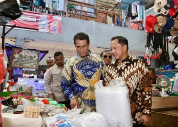 Tinjau Pasar Palimo Palembang, Mendagri dan Mentan Pastikan Distribusi Beras SPHP Lancar dan Terjangkau