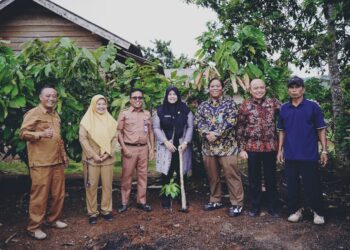 Bupati Pringsewu Umi Laila Hadiri Launching Program Pelatihan Agroforestri Secara Daring