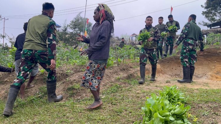 Berkebun Mandiri Satgas Yonif 521/DY Petik Hasil Panen Bersama Masyarakat Distrik Napua   