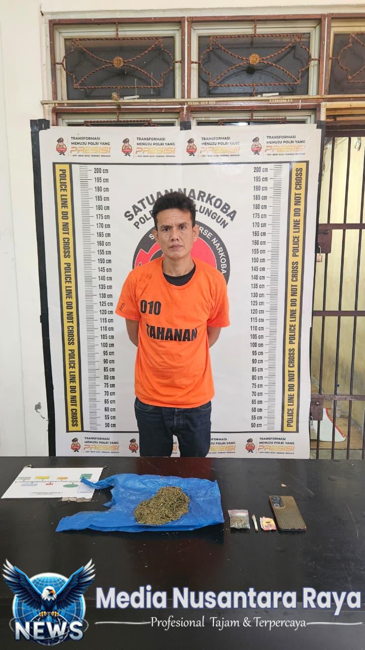 Tak Kenal Ampun, Satnarkoba Polres Simalungun Bongkar Sindikat Narkoba dengan Sitaan 159 Gram Sabu-Ganja