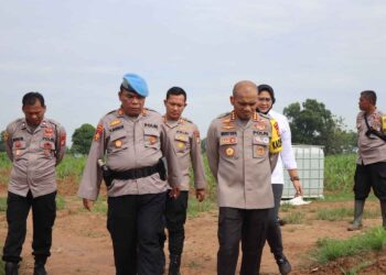 Panen Awal 2026, Kapolres Metro Bekasi Optimis Hasil Program Ketahanan Pangan Meningkat