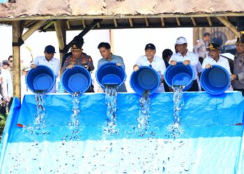 Wapres Gibran Tebar 80 Ribu Bibit Ikan Nila di Banten: Dorong Ketahanan Pangan dan Ekonomi Rakyat