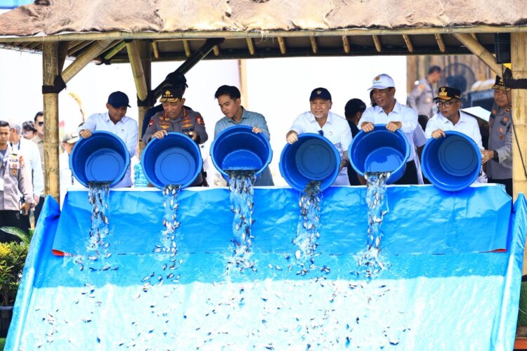 Wapres Gibran Tebar 80 Ribu Bibit Ikan Nila di Banten: Dorong Ketahanan Pangan dan Ekonomi Rakyat