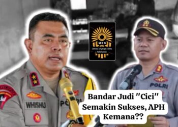 Bisnis Judi Cici Semakin Sukses, Akankah APH Mampu Menutupnya?