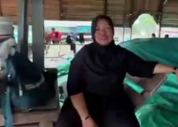 Diduga oknum Bea Cukai Kalbar ada main mata dengan pengusaha Rotan