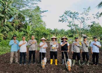Sinergi Kawal Swasembada 2026: Polsek Air Sugihan Sulap Lahan Pekarangan Jadi Kebun Jagung Produktif