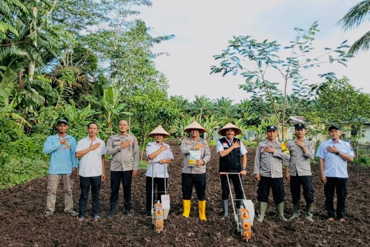 Sinergi Kawal Swasembada 2026: Polsek Air Sugihan Sulap Lahan Pekarangan Jadi Kebun Jagung Produktif