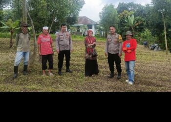Polsek Cikupa Cek Lahan Jagung Hibrida Program 1 Desa 2 Hektare di Talaga