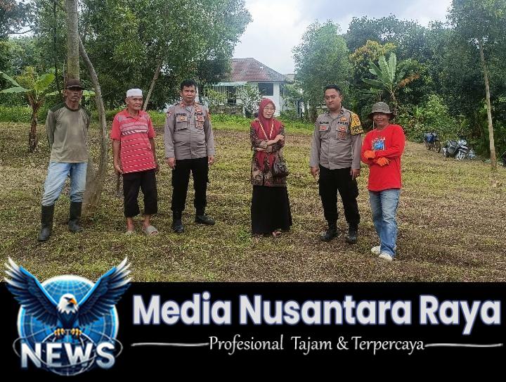 Polsek Cikupa Cek Lahan Jagung Hibrida Program 1 Desa 2 Hektare di Talaga