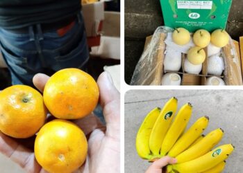 Suplayer Kebutuhan MBG Makan Gizi Gratis, Heri Kurniawan: Siap Menyediakan Buah Import & Lokal Berkualitas