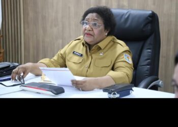 Pemerintah Pusat Sepakat Benahi Tata Kelola RSUD di Provinsi Papua