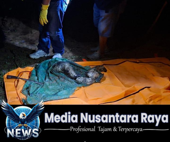 Polres Lahat Tindak Lanjuti Penemuan Mayat Perempuan Diduga Korban Mutilasi di Pulau Pinang.