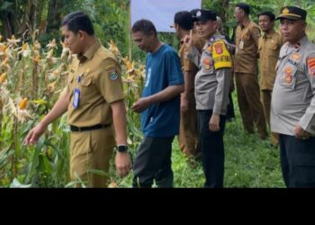 Dukung Ketahanan Pangan Nasional Polsek Cisoka Panen Jagung Hibrida Kuartal 1 Tahun 2026