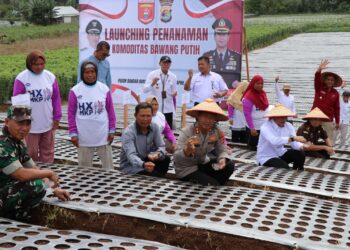 Dukung Swasembada Nasional, Kapolres Lampung Barat Bersama Forkopimda Luncurkan Penanaman Bawang Putih di Sukau