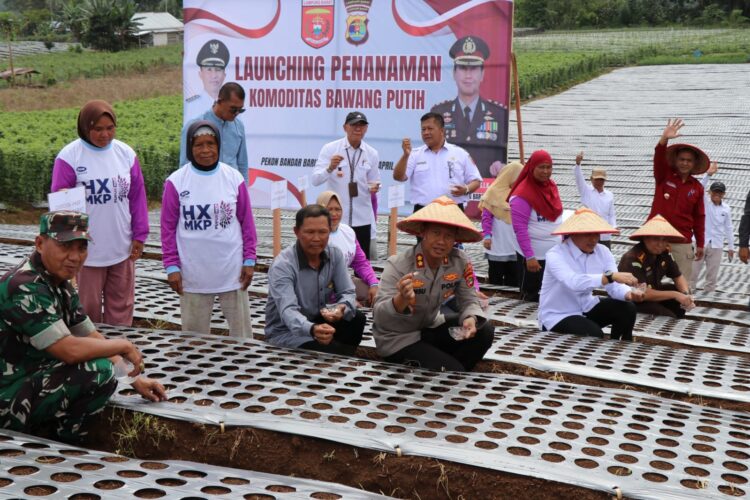 Dukung Swasembada Nasional, Kapolres Lampung Barat Bersama Forkopimda Luncurkan Penanaman Bawang Putih di Sukau