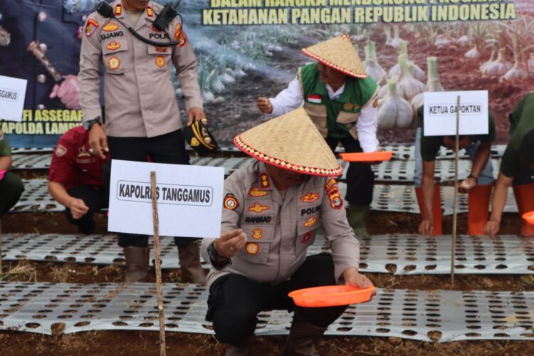Polres Tanggamus Tanam Perdana Bawang Putih Dukung Ketahanan Pangan Nasional di Ulu Belu