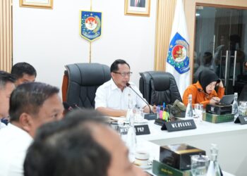 Deadline Seminggu, Kasatgas Tito Minta Pemda Percepat Pendataan Huntap Beserta Klasifikasinya