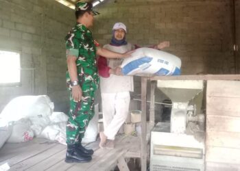 Pastikan Stok Beras Aman dan Ketahanan Pangan Terjaga, Ini Yang Dilakukan Babinsa Koramil 04/Nguntoronadi