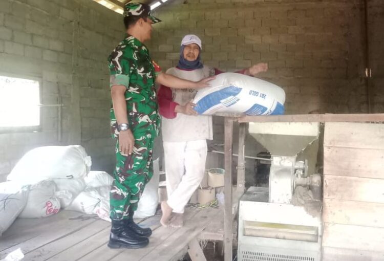 Pastikan Stok Beras Aman dan Ketahanan Pangan Terjaga, Ini Yang Dilakukan Babinsa Koramil 04/Nguntoronadi