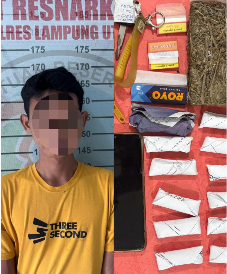 Jadi Pengedar Narkotika, Seorang Pria Diamankan Sat Narkoba Polres Lampung Utara