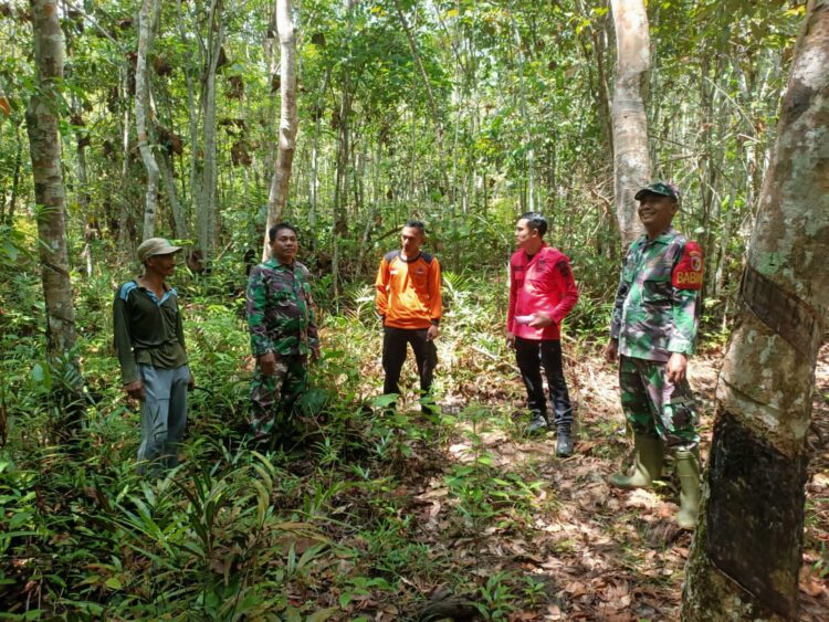 Babinsa Koramil 0420-02/Ma. Limun Aktif Monitoring Gulbencal dan Antisipasi Karhutla di Wilayah