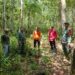 Babinsa Koramil 0420-02/Ma. Limun Aktif Monitoring Gulbencal dan Antisipasi Karhutla di Wilayah