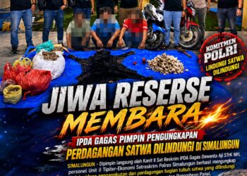 Jiwa Reserse Membara, IPDA Gagas Pimpin Pengungkapan Perdagangan Satwa Dilindungi di Simalungun