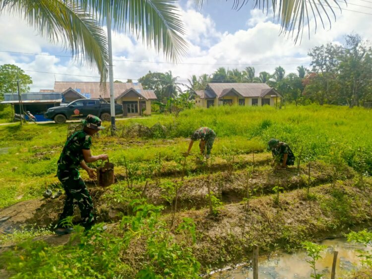 Satgas Yonif 123/Rajawali Perkuat Ketahanan Pangan Warga Kiwiro Melalui Program Hanpangan