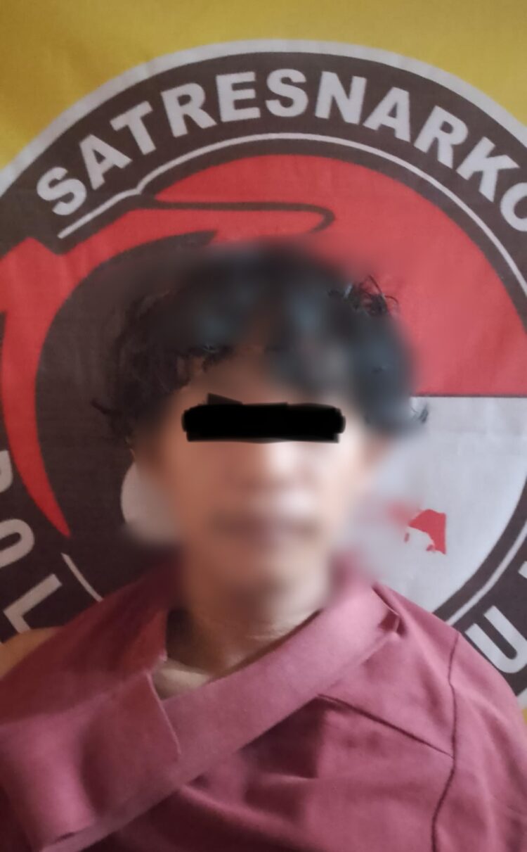 Sorang Pengedar Narkoba berhasil di Tangkap Jajaran Sat Res Narkoba Polres Mesuji