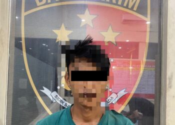 Curi 37 Tandan Sawit Milik PT Prima Alumga, Pria Asal Tulang Bawang Terancam 5 Tahun Penjara