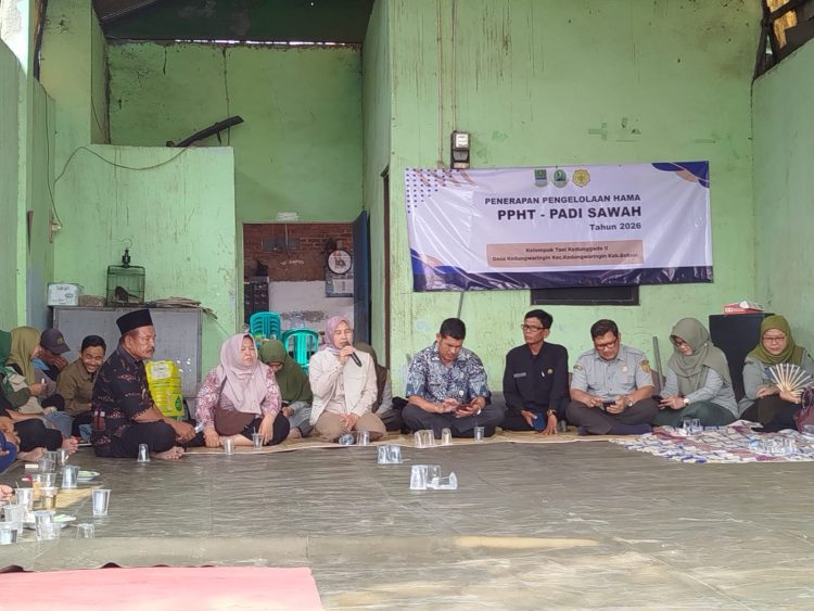 Bhabinkamtibmas Polsek Kedungwaringin Monitoring PPHT Padi Kelompok Tani Kedunggede II
