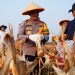 Polres Metro Bekasi Panen Raya Jagung Kuartal 1 di Lahan Ketahanan Pangan Polda Metro Jaya