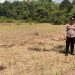 Bintara Penggerak Desa Tunang Aktif Ajak Masyarakat Tanam Jagung Dukung Ketahanan Pangan
