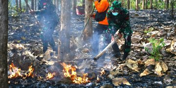Masuki musim Kemarau, Kodim Wonogiri Gelar Latihan Penanggulangan Bencana Alam Kebakaran Hutan Lahan