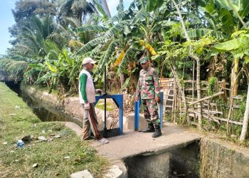 Babinsa Kodim 0103/Aceh Utara Cek Saluran Irigasi, Pastikan Air Sawah Tetap Mengalir