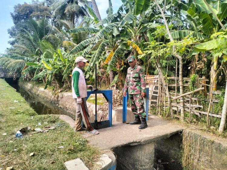 Babinsa Kodim 0103/Aceh Utara Cek Saluran Irigasi, Pastikan Air Sawah Tetap Mengalir
