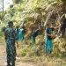 Satgas Pamtas RI-Malaysia Yonarmed 19/Bogani Bersama Tentera Diraja Malaysia (TDM) Gelar Karya Bakti Bersihkan SMA Negeri 1 Entikong