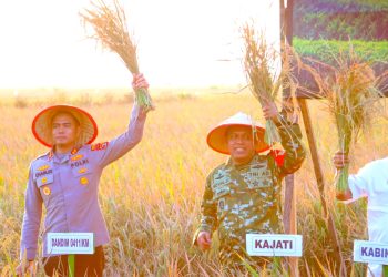 Kapolres Lampung Tengah Dampingi Kapolda Lampung Hadiri Panen Raya Serentak Bersama Presiden, Tegaskan Dukungan Swasembada Pangan