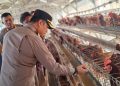 Wakapolres Metro Bekasi Tinjau Kandang Ayam dan Tambak Ikan Rantai Pasok SPPG di Muara Gembong