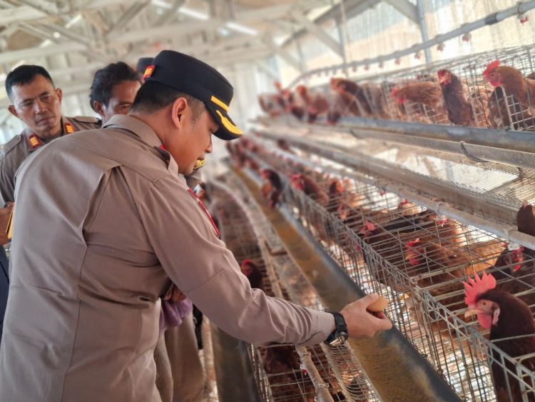 Wakapolres Metro Bekasi Tinjau Kandang Ayam dan Tambak Ikan Rantai Pasok SPPG di Muara Gembong