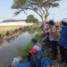 Polsek Pebayuran Amankan Gebyar Mancing, Satu Ton Lele Meriahkan HUT RI ke-81 di Sumbereja