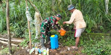 Wujudkan Ketahanan Pangan, Babinsa Kedungbanteng Dampingi Petani Merawat Sawah Warga