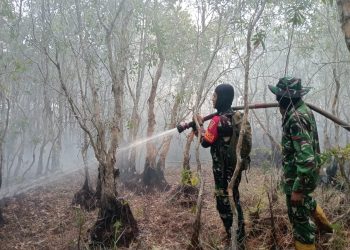 Babinsa Koramil Indralaya Bersama Yon TP 949/DR Berjibaku Padamkan Karhutla di Tanjung Seteko